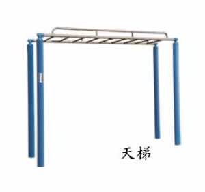 新國標(biāo)天梯